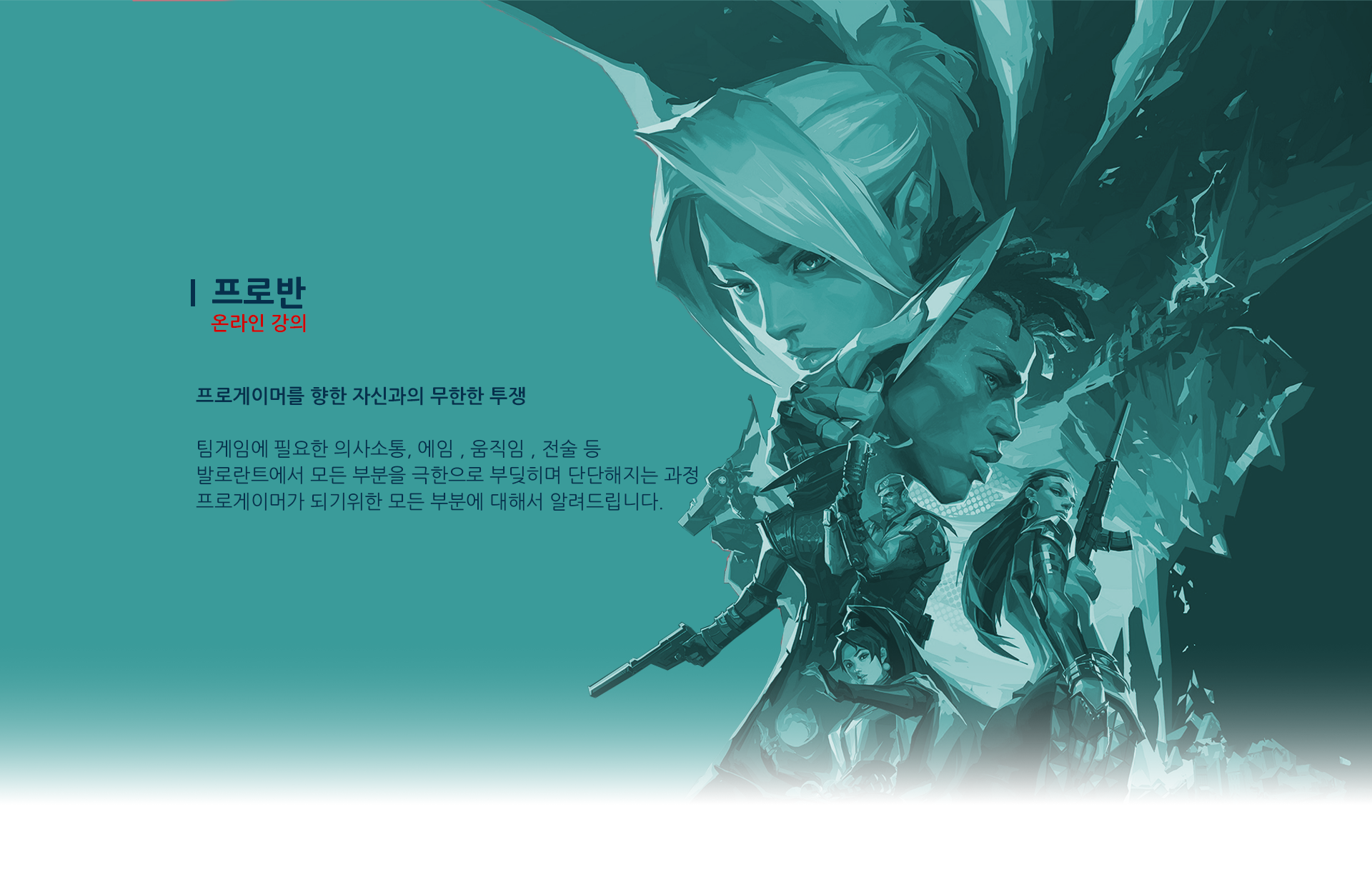 프로반 이미지 1